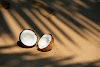  Dry coconut vs coconut oil