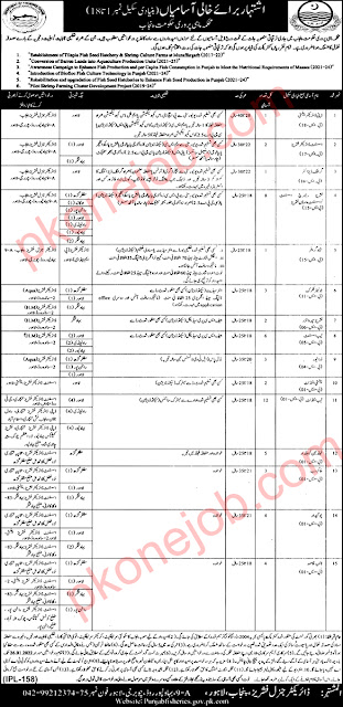 Fisheries Department Punjab Jobs 2022