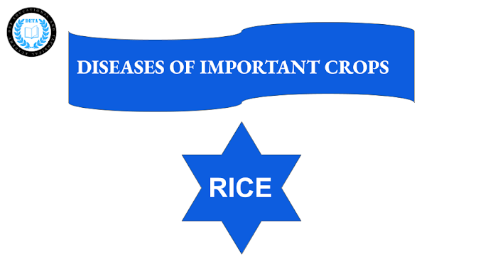 DISEASES OF IMPORTANT CROPS - RICE