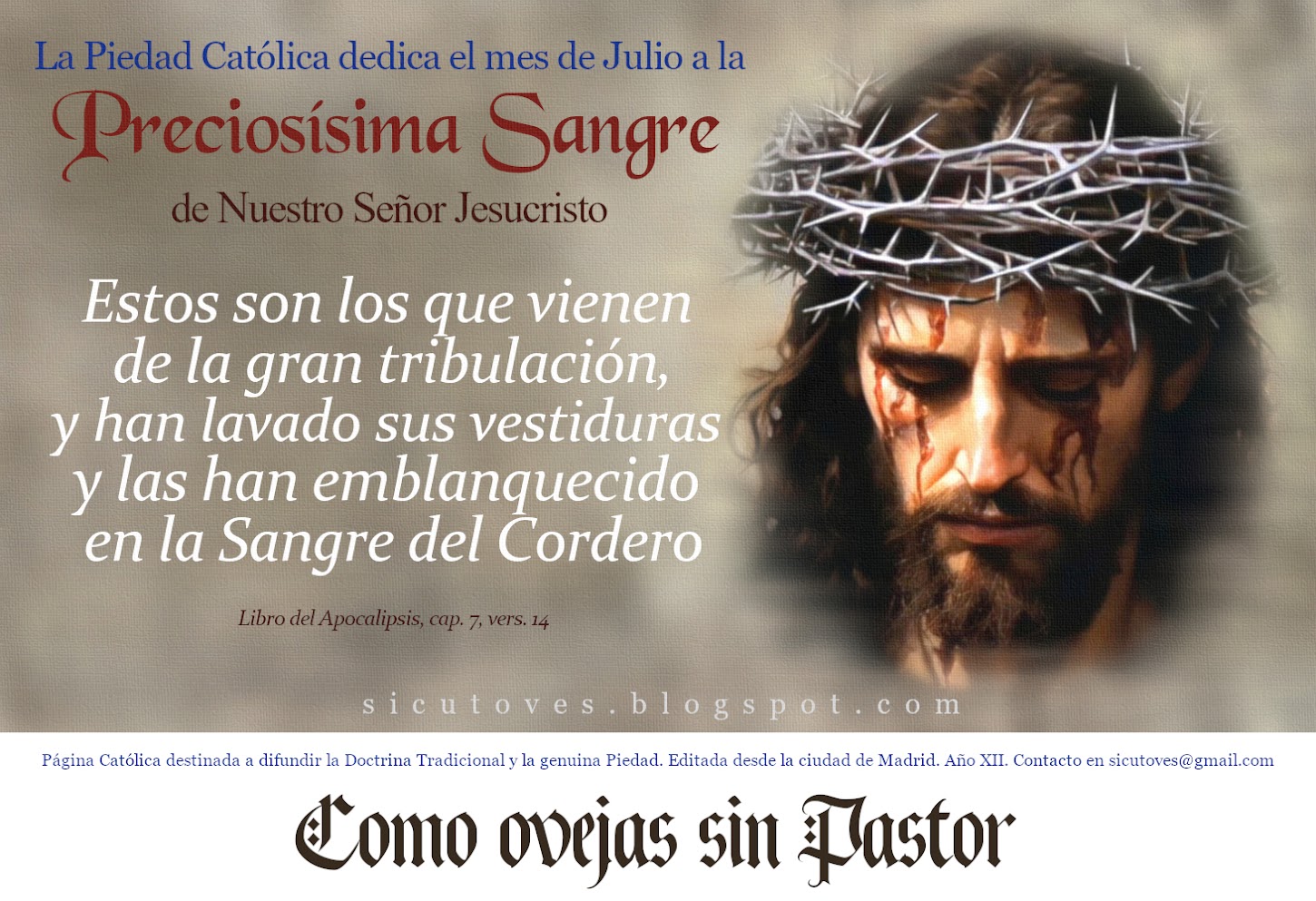 Como ovejas sin Pastor