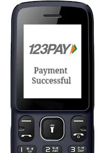Unlocking the Benefits of 123 Pay UPI: A Convenient and Secure Online Payment Method
