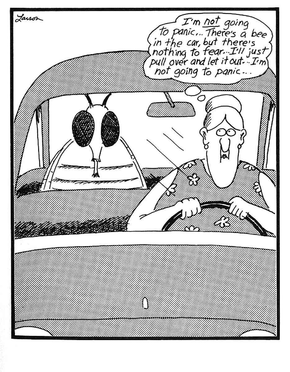 a Gary Larson cartoon, anxiety about a bee in the car