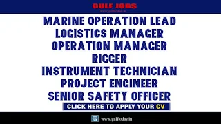 Middle East Jobs-Marine Operation Lead-Logistics Manager-Operation Manager-Rigger-Instrument Technician-Project Engineer-Senior Safety Officer