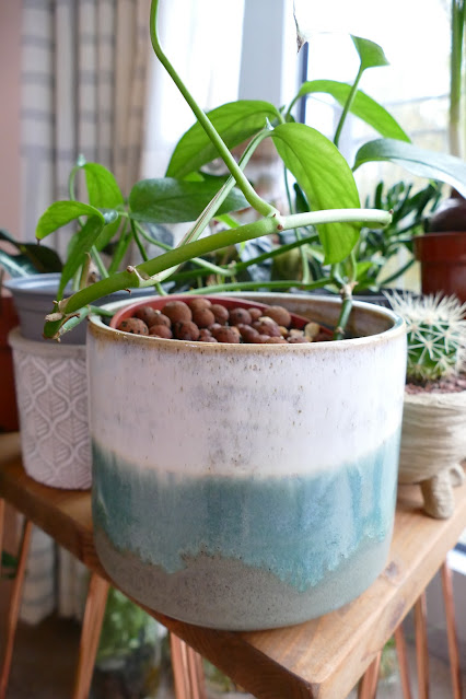Lake Meadow Pottery review, ceramic pots uk etsy, how to decorate plastic pots, how to decorate plant pots, ceramic plant pots uk, affordable ceramic pots uk, lake meadow pottery, Tim fluck