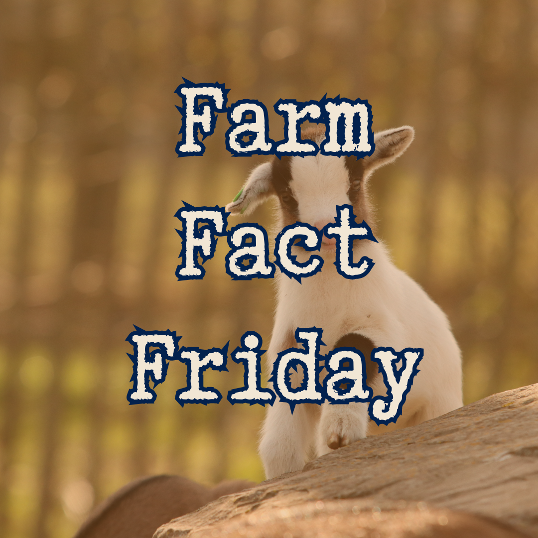 Farm Facts