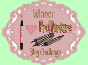 I Won 1st Prize at I Love Promarkers