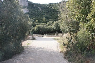 MONESTIR DE MONTSERRAT - CREU I ERMITA DE SANT MIQUEL - PLA DELS SOLDATS - SANTA COVA, Camí i Bassa de Sant Miquel