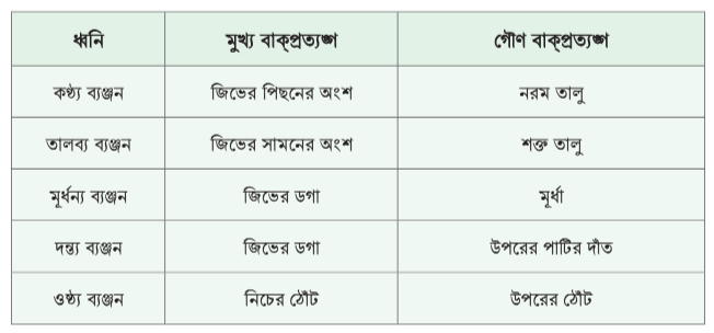 প্রমিত বলি প্রমিত লিখি | অষ্টম শ্রেণি বাংলা ২য় অধ্যায় সমাধান - Class 8 Bangla Chapter 2 Solution | Promito Boli Promito Likhi