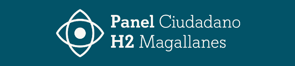 Panel Ciudadano H2 Magallanes