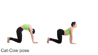 Yoga to reduce menstrual cramp | Cat cow pose