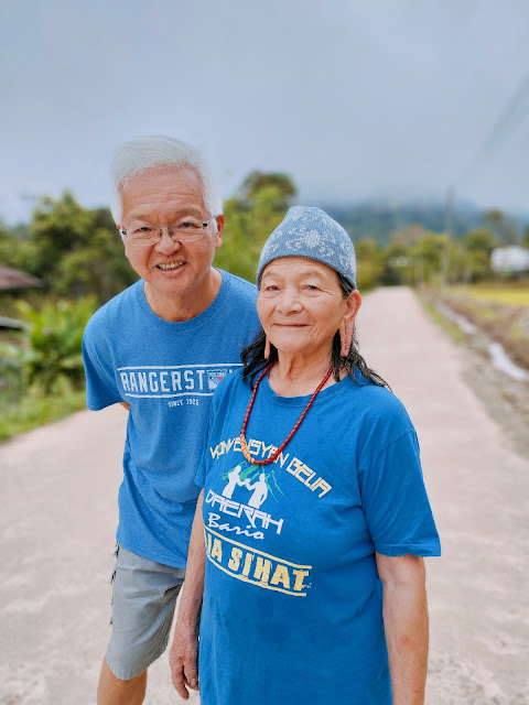 Nancy_Harriss_Homestay_Bario_Sarawak_Twin_Pioneer_Aircraft_Wreck