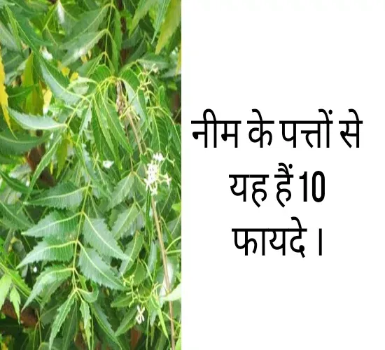 Upachar