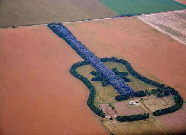 Arjantinli Pedro Martin Urata, müziği çok seven eşinin anısına, 1 km uzunluğunda 7 bin ağaçtan oluşan gitar şeklinde bir orman dikti.