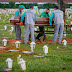 Brasil registrou 1.135 mortes provocadas pela Covid-19; A maior já registrada desde 2 de agosto