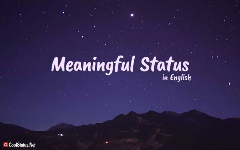 100+ Best meaningful Status in English Whatsapp Meaningful Status short wp status