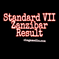 Standard seven (PSLE) results 2021 Zanzibar