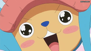 ワンピースアニメ WCI編 785話 チョッパー かわいい Tony Tony Chopper | ONE PIECE Episode 785