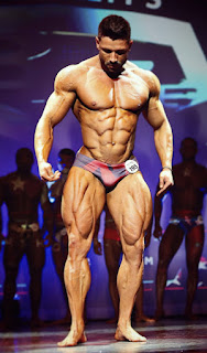 Admiration for Big Body Bodybuilders