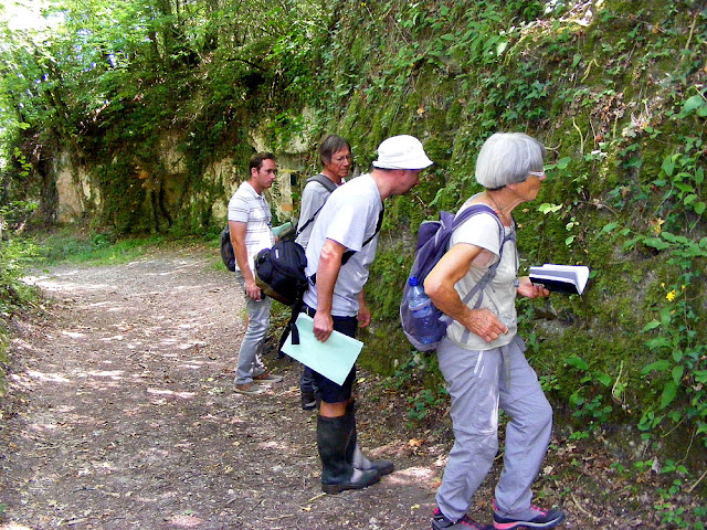 Surveying ferns, Loir et Cher, France. Photo by Loire Valley Time Travel.