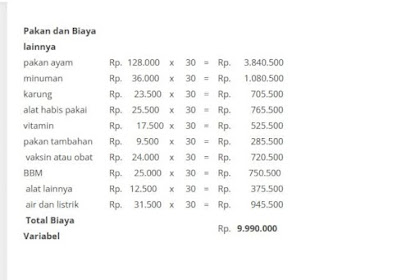 Analisis Usaha Ternak Ayam Petelur Lengkap