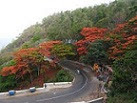 Yercaud Hill Station - Top Tourist Places to Visit in Yercaud