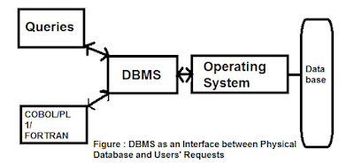 Role of Database Management System