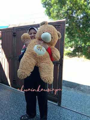 teddy bear comel