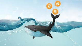 Baleias movimentam US$ 1,74 bilhão em Bitcoin (BTC) e Ethereum (ETH) e agitam o mercado