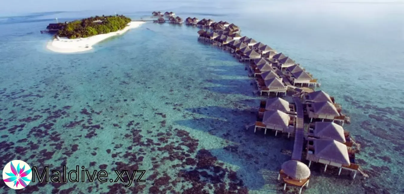 Tourism in the Maldives and the 8 best islands for honeymoon in the Maldives. The best resorts in the Maldives.