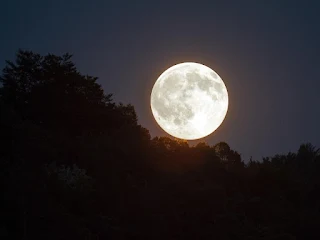 Luna llena Hombre Lobo