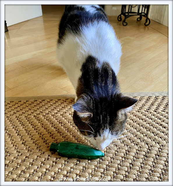 Cute tabby cat Melvyn checking out a beautiful green malachite crystal