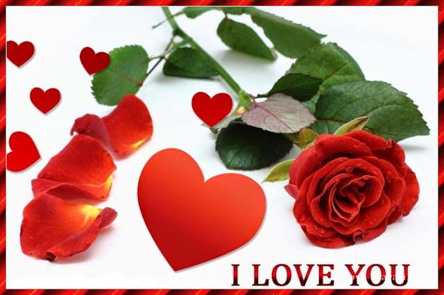rose love you images