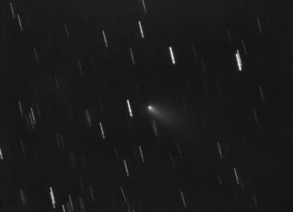 El cometa A1 Leonard del 30 de octubre. Crédito de la imagen y derechos de autor: Zlatko Orbanic.