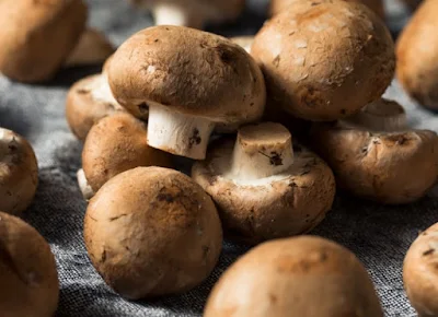 What is the best way to grow mushrooms in the home?
