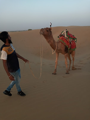 The "Actor Camel" with its handler that used for the wedding shoot filming on Sam Sand Dunes.