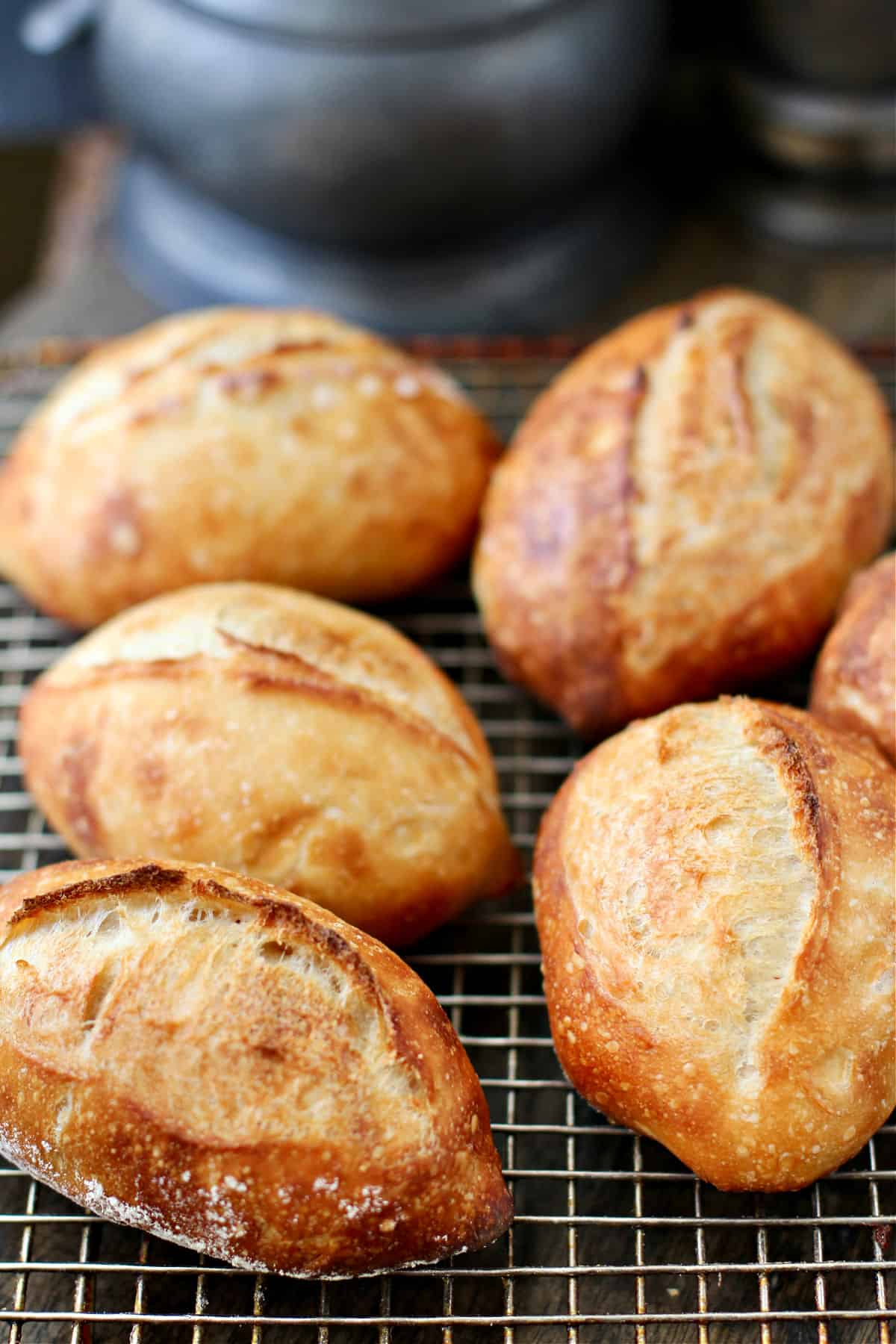 No knead crusty rolls on a cooling rack.