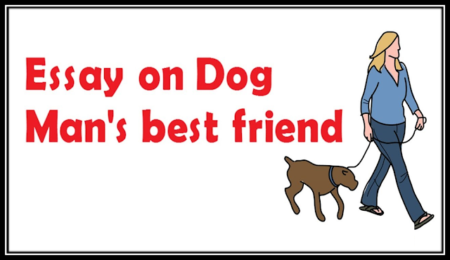 Man's Best Friend: An Essay on Dogs