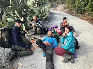 5 hikers eating prickly pears on a small road
