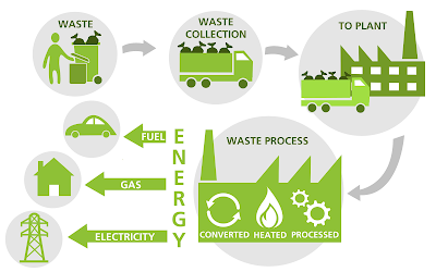 Removing Waste that could Damage our Ecosystem