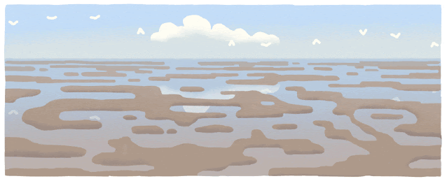 Ваттенмеер: Ваттовое море