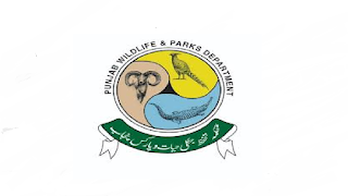Wildlife Department KPK Jobs 2022 in Pakistan