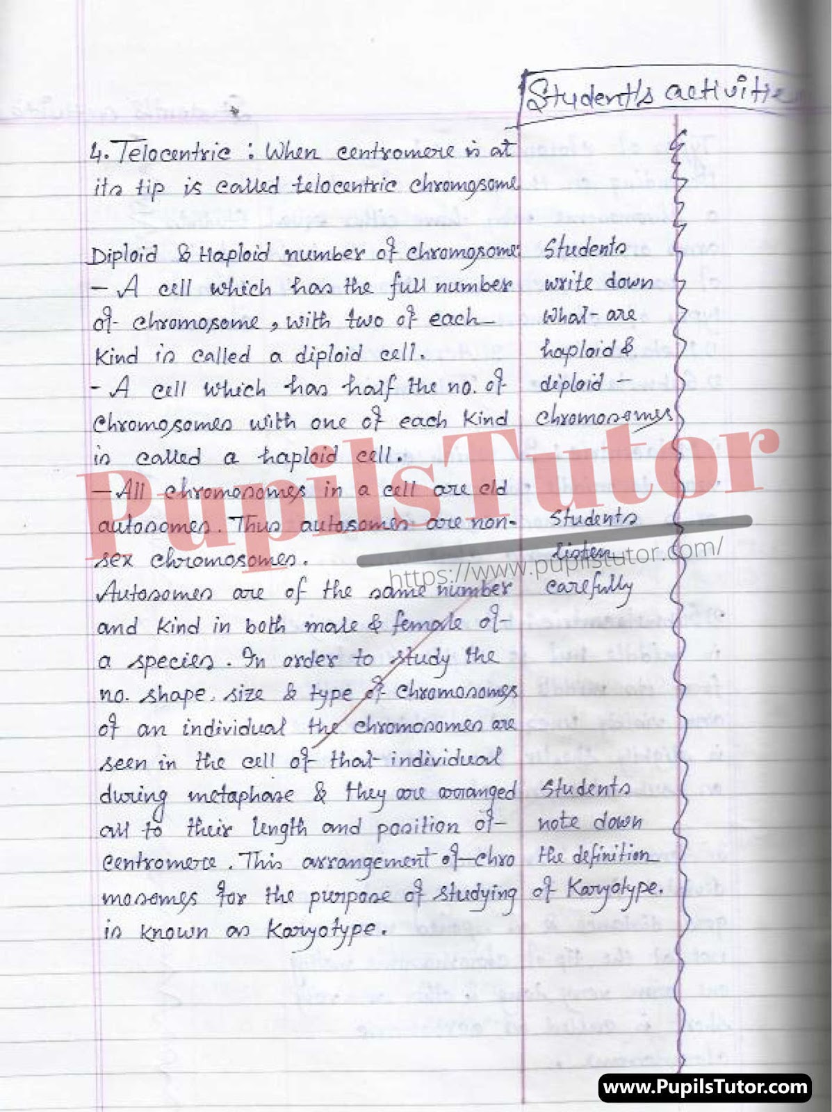 BED, DELED, BTC, BSTC, M.ED, DED And NIOS Teaching Of Biological Science  Innovative Digital Lesson Plan Format On Types Of Chromosomes Topic For Class 4th 5th 6th 7th 8th 9th, 10th, 11th, 12th  – [Page And Photo 4] – pupilstutor.com