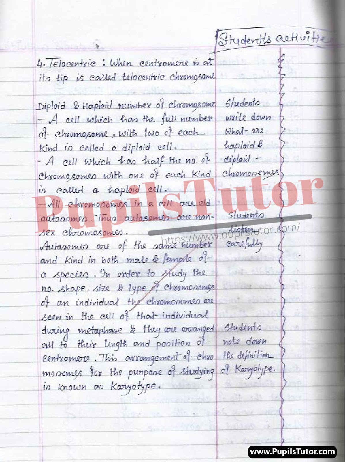 How To Make Biological Science Lesson Plan For Class 8 On Structure And Types Of Chromosome In English – [Page And Photo 4] – pupilstutor.com