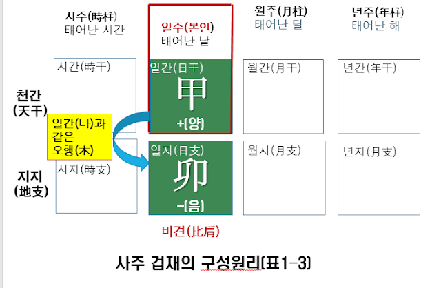 사주 겁재의 사주구성원리