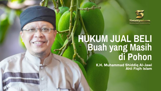 Hukum Jual Beli Buah yang Masih di Pohon