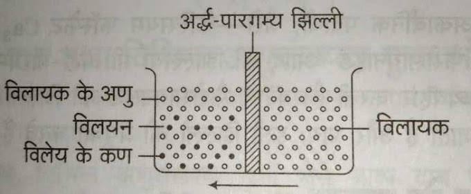 परासरण तथा परासरण दाब | Osmosis and Osmosis Pressure
