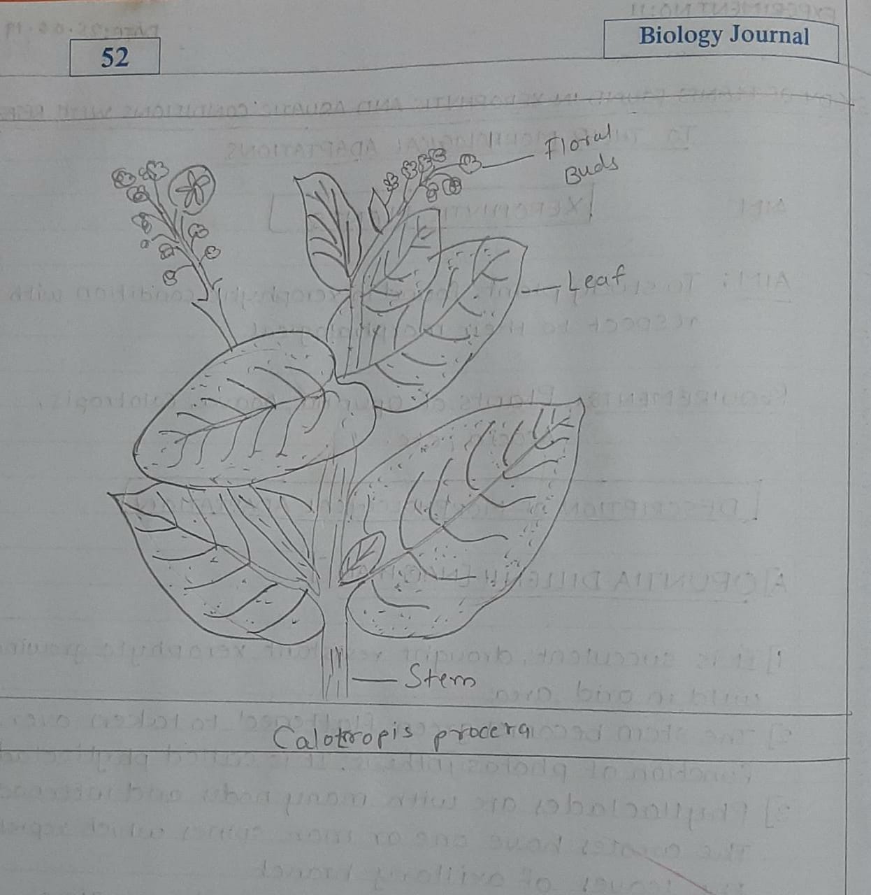 Maharashtra SSC Board 12 Class practical of Biology Journal solutions Part-2