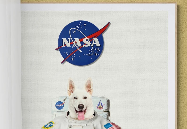 Your pet is an astronaut!!