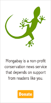 mongabay