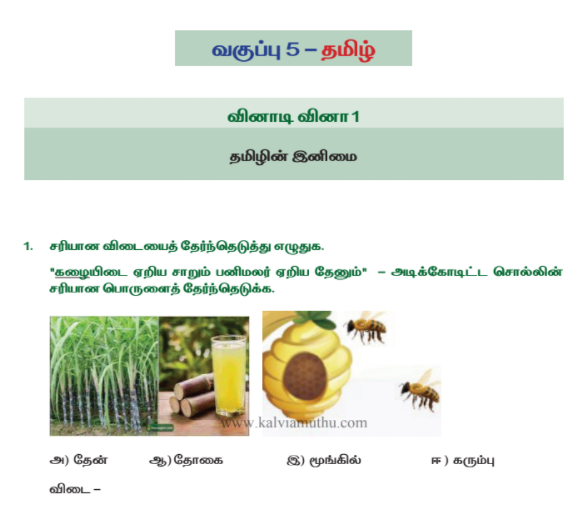 5th Tamil Basic Quiz Answer key